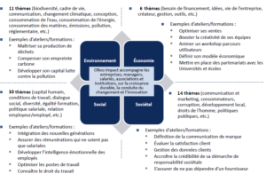 Description visuelle de l'organisation des 176 sujets de la performance et de l'impact